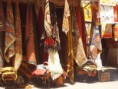 /album/fotogaleria-inicio/p4180365-jpg/